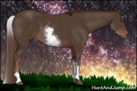Horse Color:White Spotted Liver Chestnut Sabino