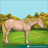Horse Color:Painted Gold Champagne 