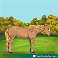 Horse Color:Painted Chestnut 