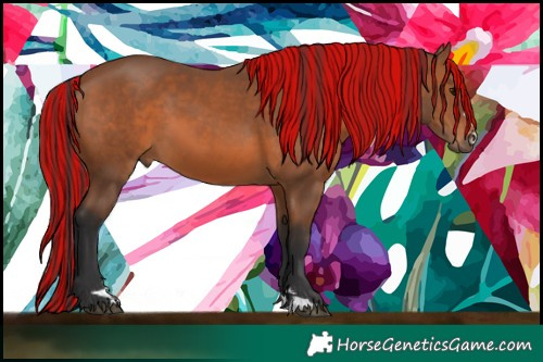 Horse Color:Painted Bay