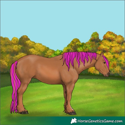 Horse Color:Painted Chestnut 