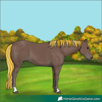 Horse Color:Painted Silver Black