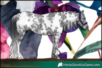 Horse Color:White Spotted Black Ice 