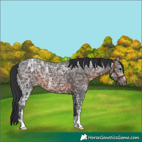 Horse Color:Brown Ice 