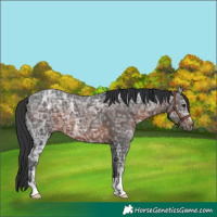 Horse Color:Brown Ice