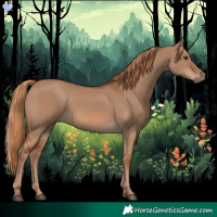 Horse Color:Red Dun 