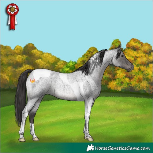 Horse Color:Smoky Blue Roan Tobiano 