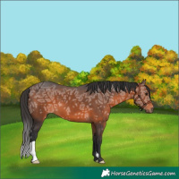 Horse Color:Brown Ice 