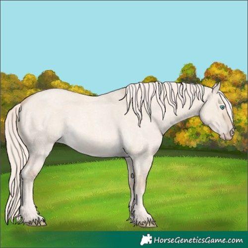 Horse Color:Cremello Roan Dun 