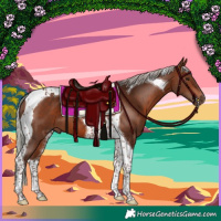 Horse Color:Silver Brown Tobiano 