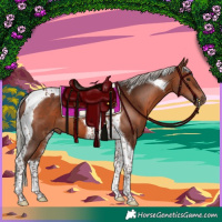 Horse Color:Silver Brown Tobiano