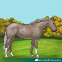Horse Color:Silver Grullo 