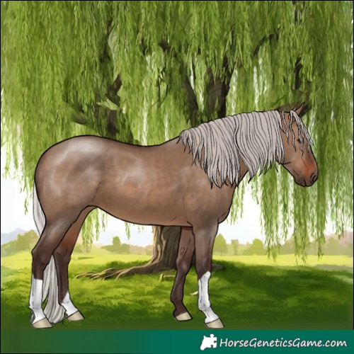 Horse Color:Silver Brown Dun