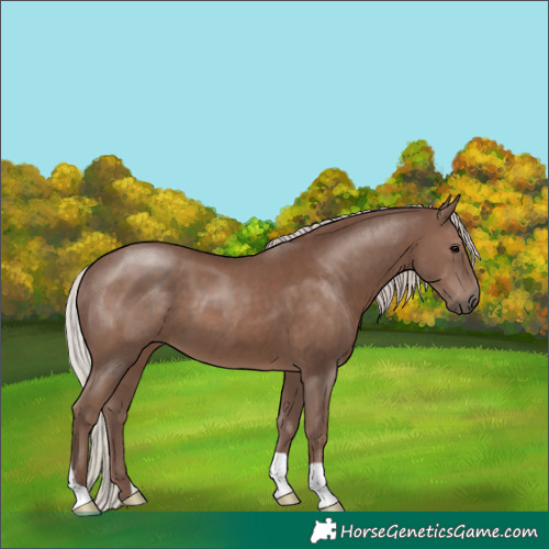 Horse Color:Silver Black 