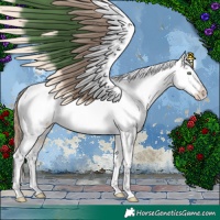 Horse Color:White Spotted Brown Pearl Dun Tobiano Frame Appaloosa 