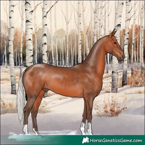 Horse Color:Silver Brown