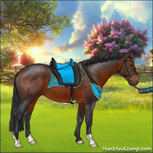 Horse Color:Brown 