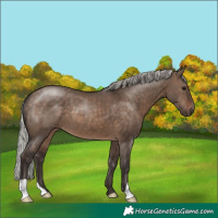 Horse Color:Silver Brown Dun 