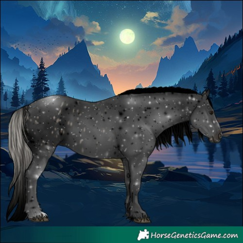 Horse Color:Void White Spotted Silver Smoky Black Tobiano Blanket 