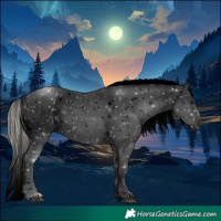 Horse Color:Void White Spotted Silver Smoky Black Tobiano Blanket 