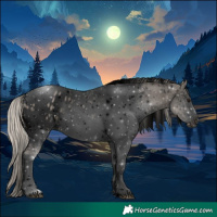 Horse Color:Void White Spotted Silver Smoky Black Tobiano Appaloosa 
