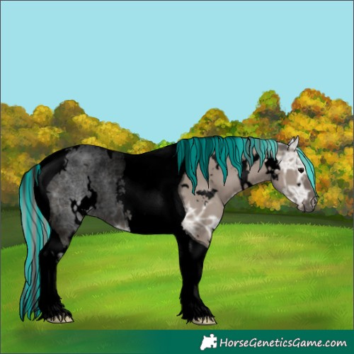 Horse Color:Void Painted White Spotted Silver Grullo Ice Tobiano Rabicano