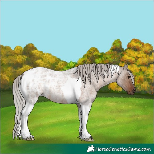 Horse Color:Silver Brown Ice Roan Dun Tobiano 