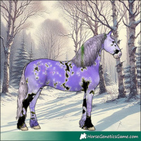Horse Color:Watercolor White Spotted Silver Black Sabino