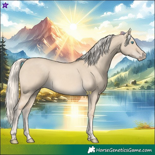 Horse Color:Cremello Dun 