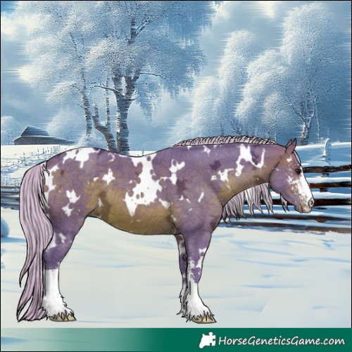 Horse Color:Watercolor White Spotted Silver Brown Ice Sabino 