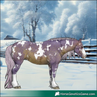 Horse Color:Watercolor White Spotted Silver Brown Ice Sabino