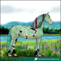 Horse Color:Watercolor White Spotted Sable Champagne Sabino