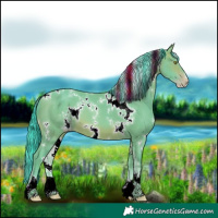 Horse Color:Watercolor White Spotted Sable Champagne Sabino 