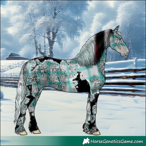 Horse Color:Plaid  Silver Sable Champagne Chinchilla Ice Dun Tobiano 