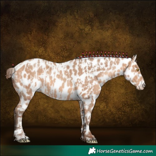 Horse Color:Amber Champagne Appaloosa and Amber Champagne Appaloosa