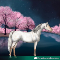 Horse Color:White Spotted Silver Brown Roan Pearl Dun Appaloosa Rabicano
