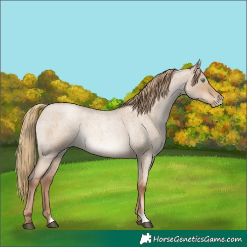 Horse Color:Liver Red Dun Roan Pearl Rabicano 