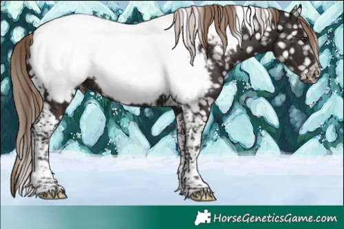 Horse Color:White Spotted Liver Chestnut Tobiano Near Fewspot