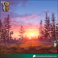 Horse Color:Gray Brown Dun Tobiano Appaloosa Rabicano 