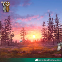 Horse Color:Gray Brown Dun Tobiano Appaloosa Rabicano 