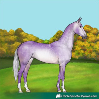 Horse Color:Gray Watercolor Silver Buckskin 
