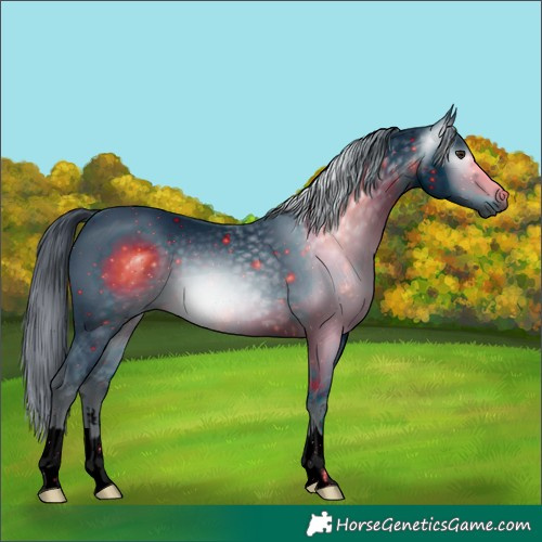 Horse Color:ERROR: UNKNOWN ANOMALY