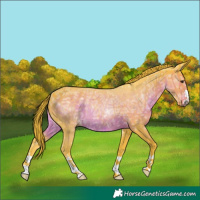 Horse Color:Watercolor Liver Chestnut Ice Rabicano 