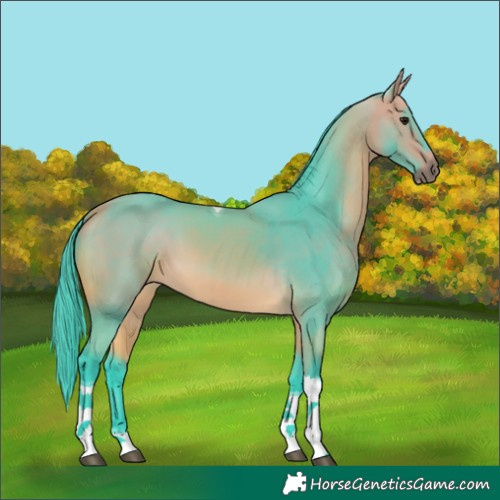 Horse Color:Watercolor Buckskin Tobiano 