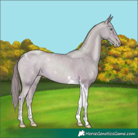 Horse Color:Watercolor Smoky Black Pearl Tobiano 