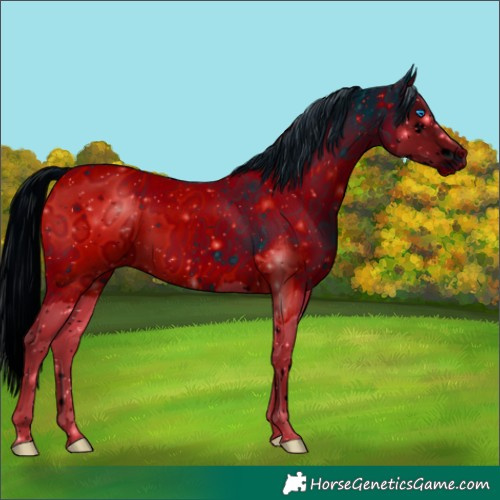 Horse Color:ERROR: UNKNOWN ANOMALY