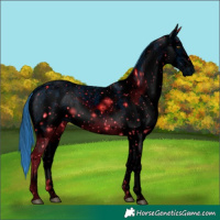 Horse Color:ERROR: UNKNOWN ANOMALY