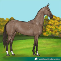 Horse Color:Liver Red Dun 