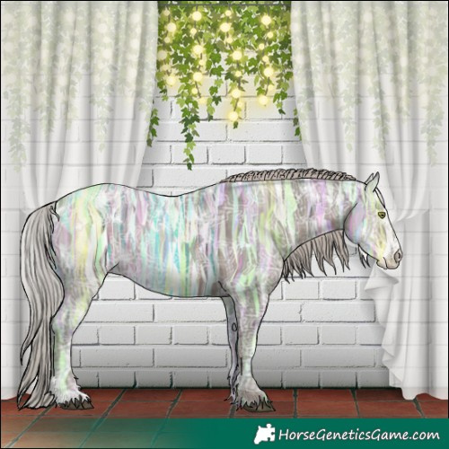 Horse Color:White Spotted Silver Black Ice Sabino 