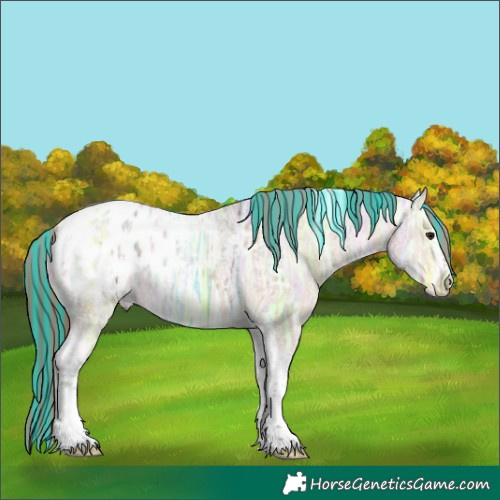 Horse Color:Painted Bay Ice Dun Sabino Tobiano Appaloosa 